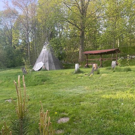Hotel Fox House Tisa / Rajec Zewnętrze zdjęcie